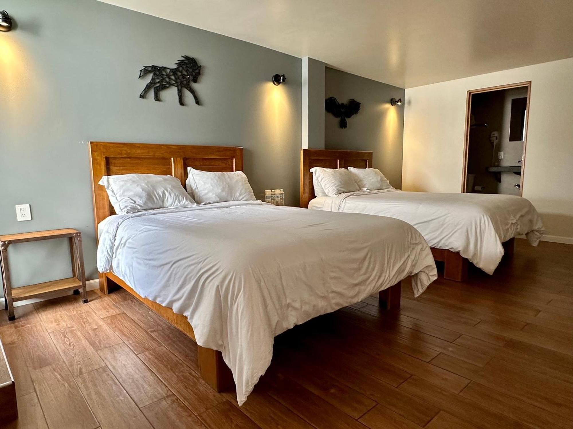 Guest house Casa Raffaello Mexico City