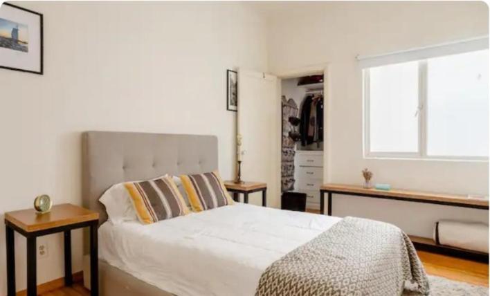 Apartment Colima 427