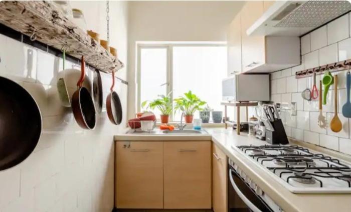 Apartment Colima 427