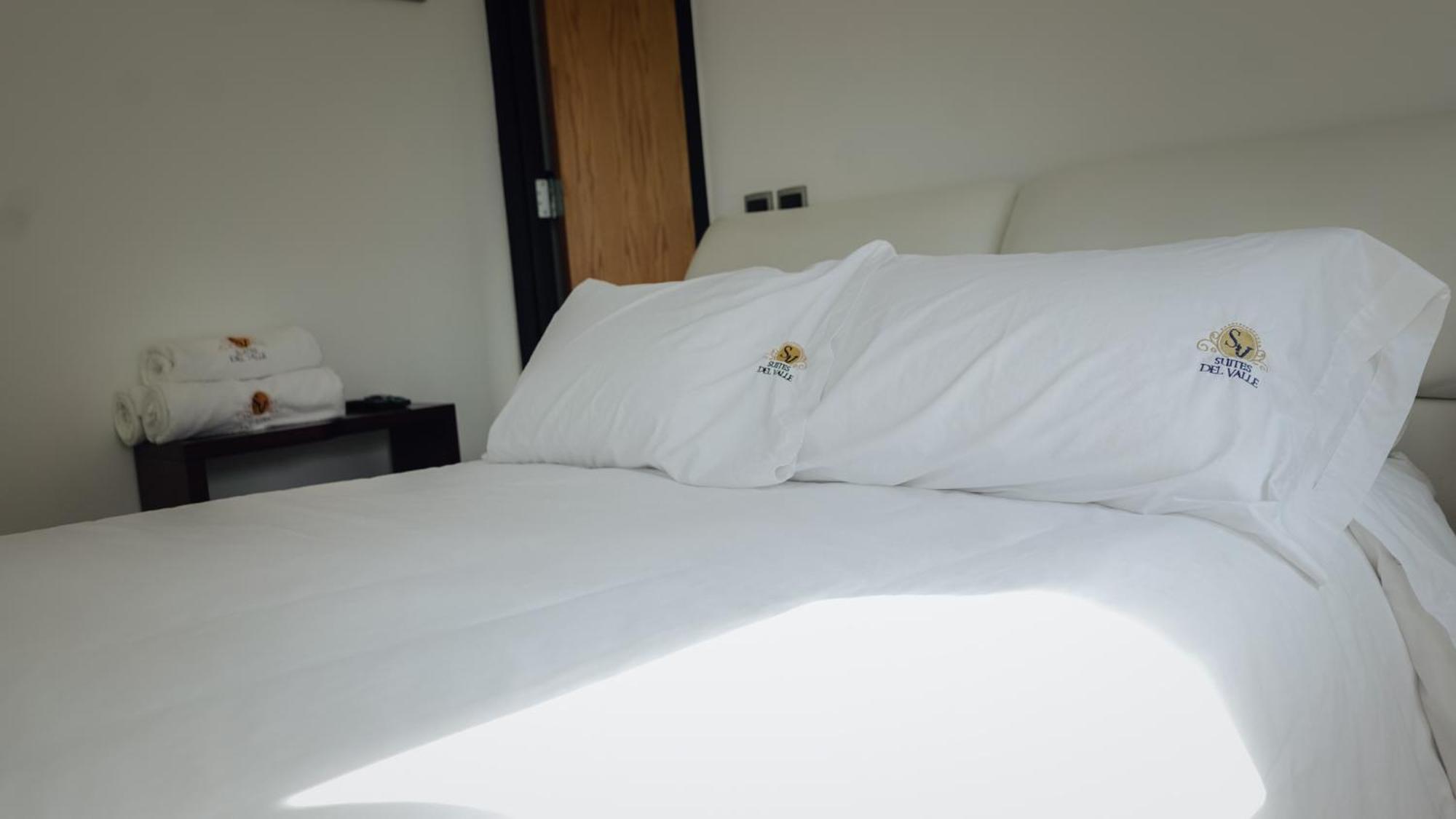 Apartment Del Valle Mexico City