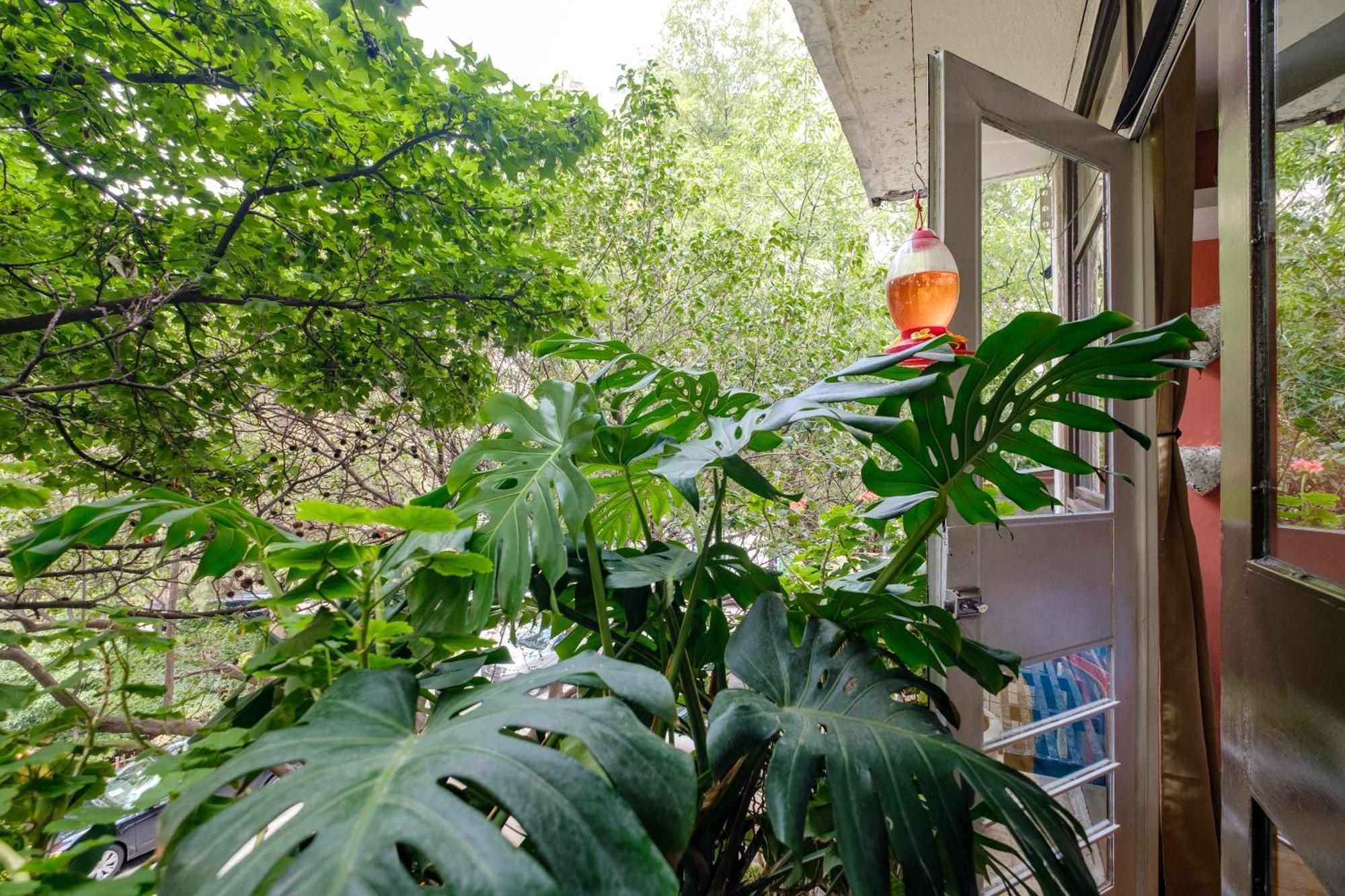 Casa Itzae B&B Polanquito Dog Friendly Bed & Breakfast