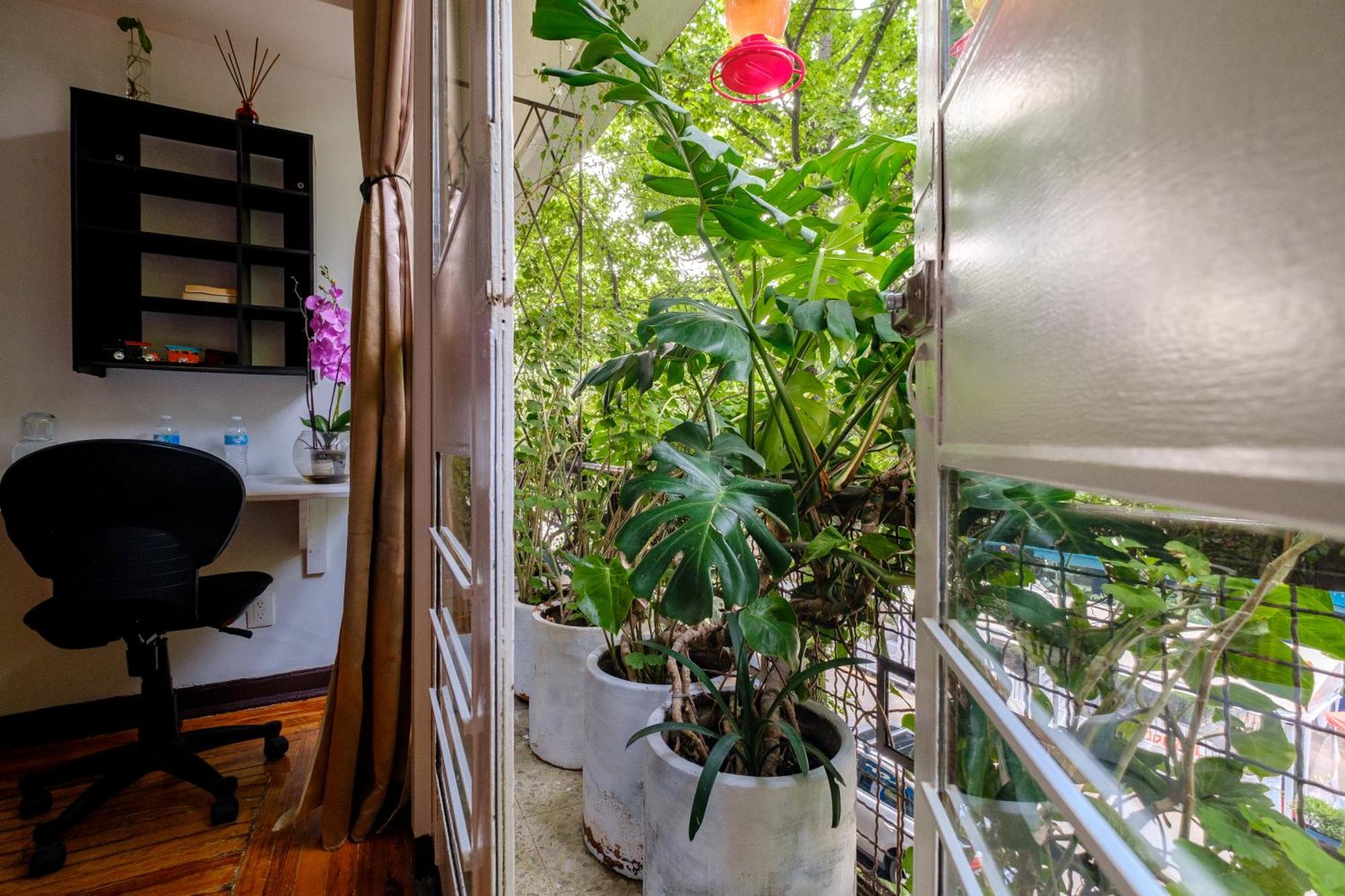 Casa Itzae B&B Polanquito Dog Friendly Mexico City