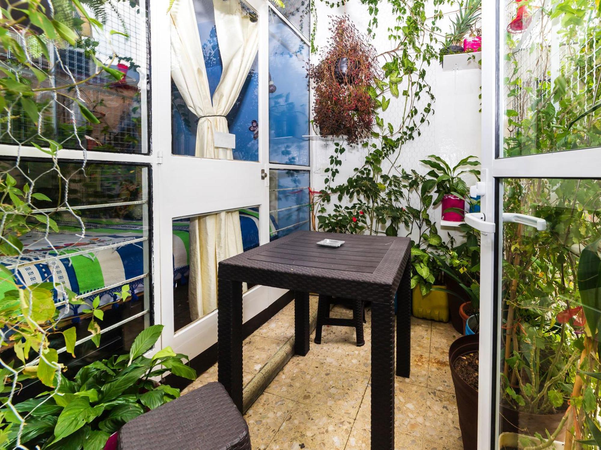 Bed & Breakfast Casa Itzae B&B Polanquito Dog Friendly Mexico City