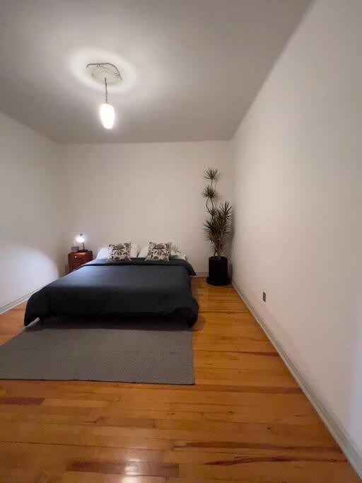 Apartment The Location In Condesa Roma With Air Conditioner Mexico City