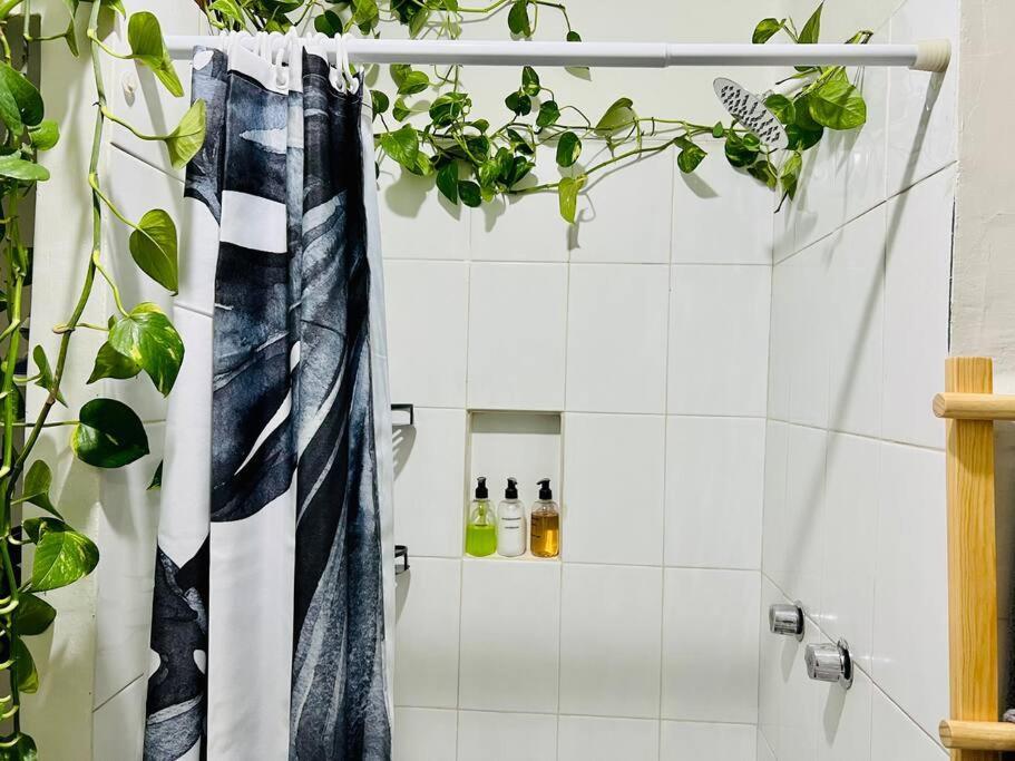 Apartment The Location In Condesa Roma With Air Conditioner Mexico City