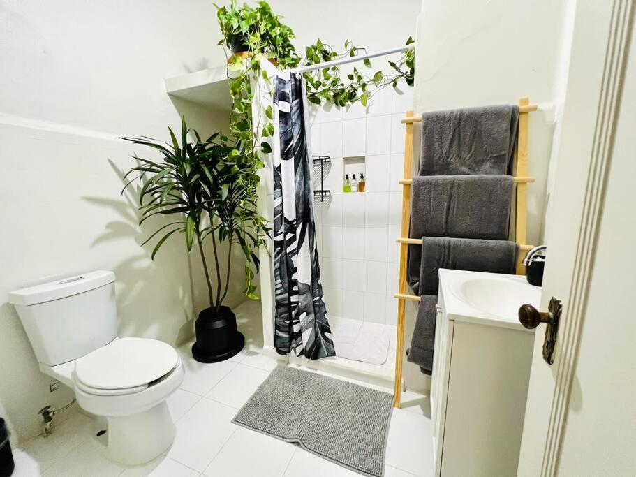Apartment The Location In Condesa Roma With Air Conditioner *