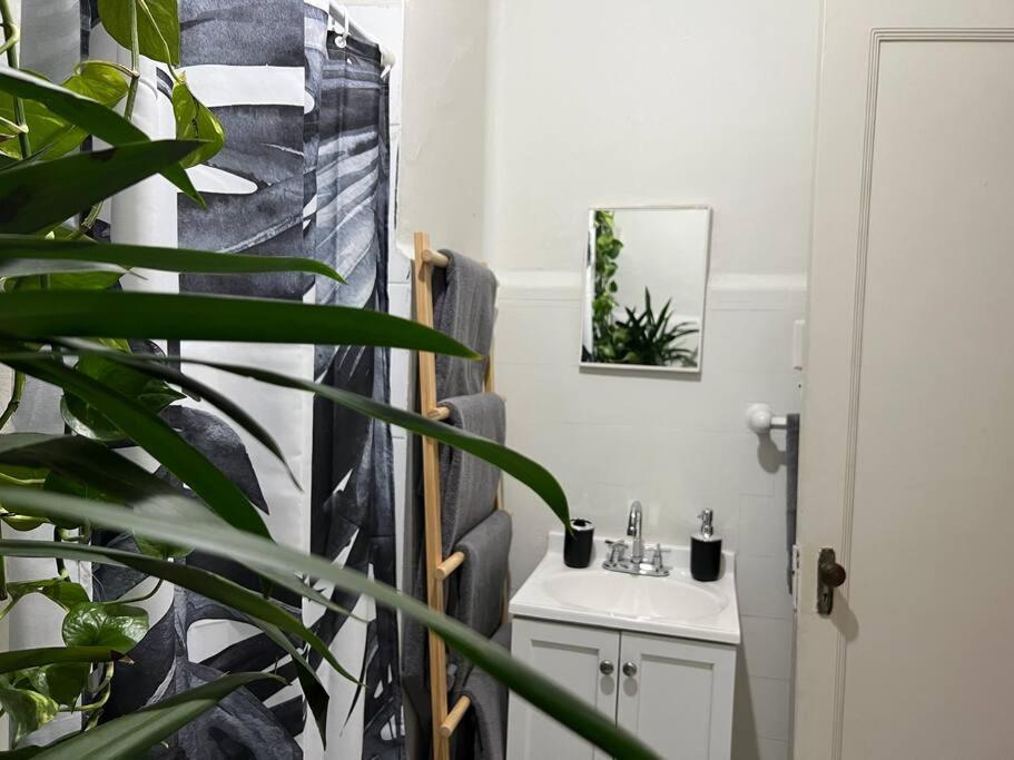 The Location In Condesa Roma With Air Conditioner Apartment Mexico City