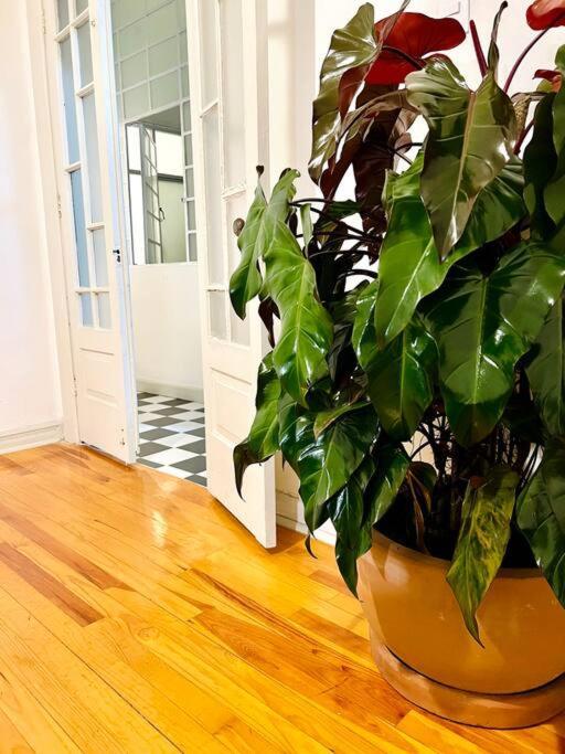 Apartment The Location In Condesa Roma With Air Conditioner Mexico City