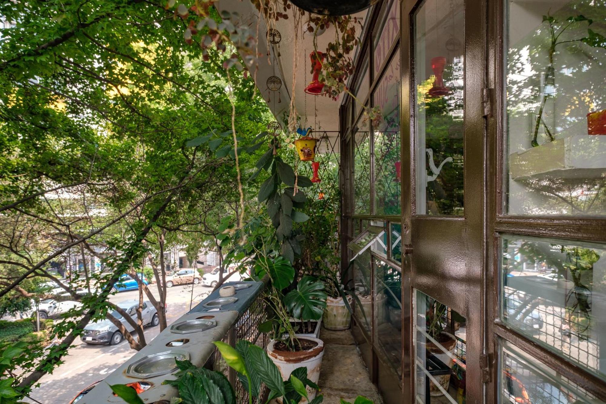 Casa Itzae B&B Polanquito Dog Friendly Bed & Breakfast Mexico City