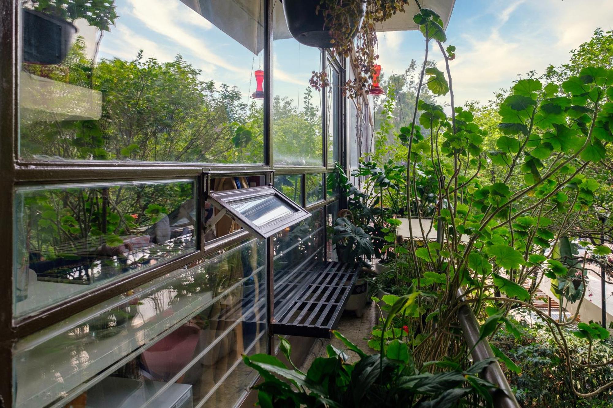Bed & Breakfast Casa Itzae B&B Polanquito Dog Friendly