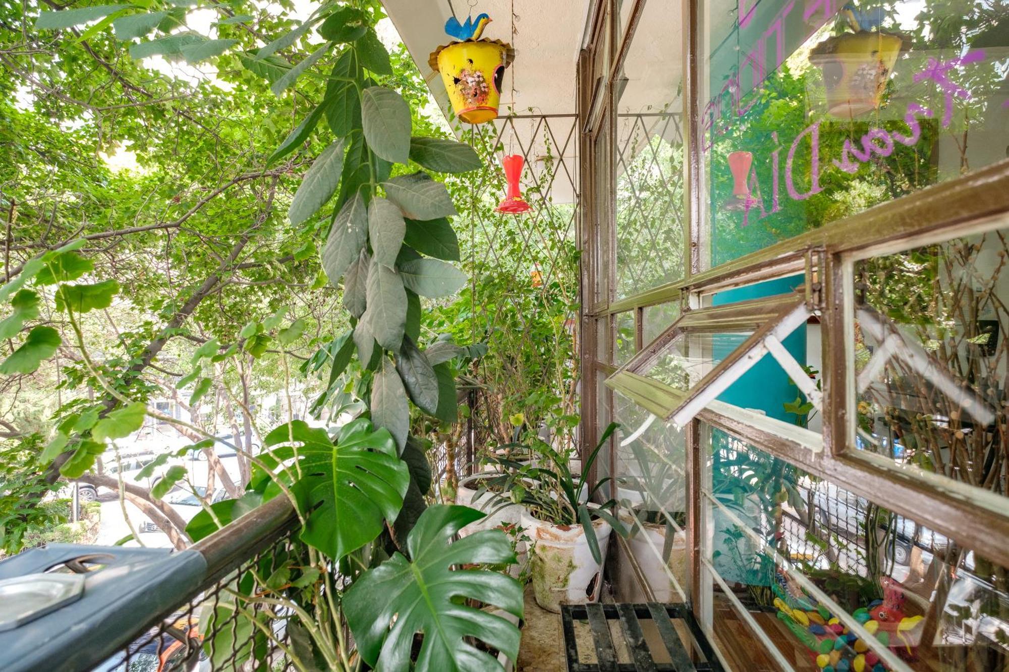 Bed & Breakfast Casa Itzae B&B Polanquito Dog Friendly Mexico City