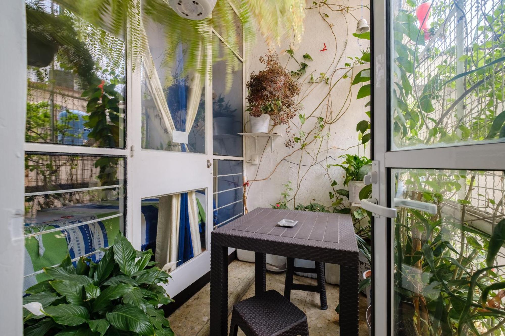 Casa Itzae B&B Polanquito Dog Friendly