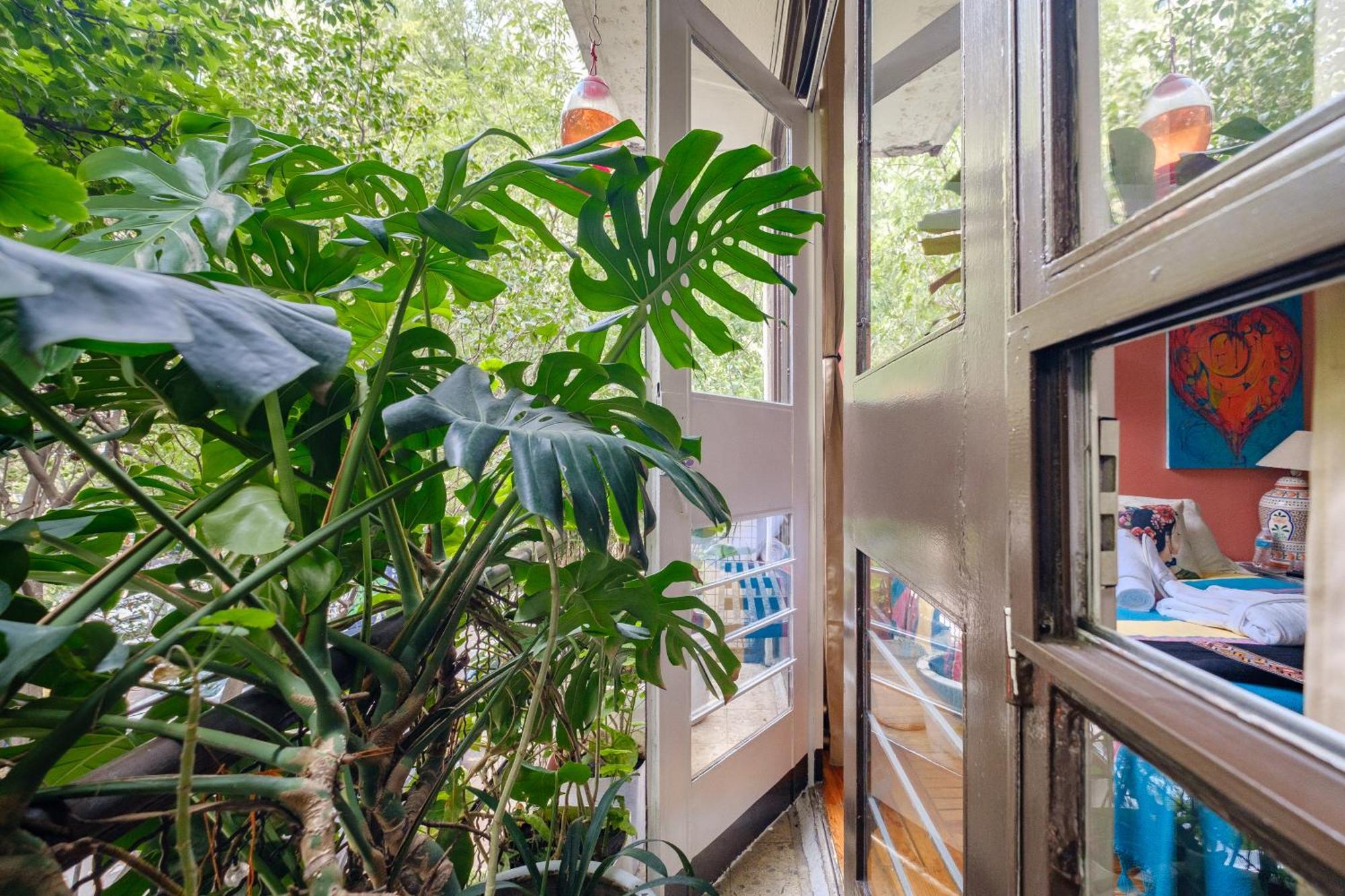 Bed & Breakfast Casa Itzae B&B Polanquito Dog Friendly *