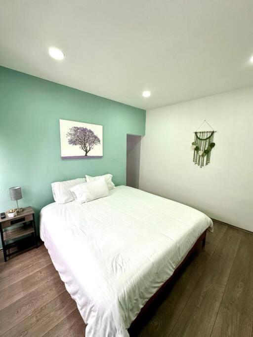 Departamento Iluminado En Condesa *