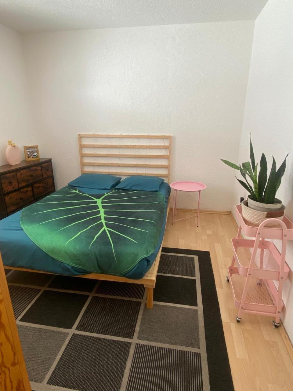 Privada En La Colonia Roma Homestay