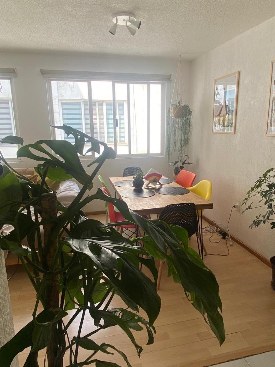 Homestay Privada En La Colonia Roma *