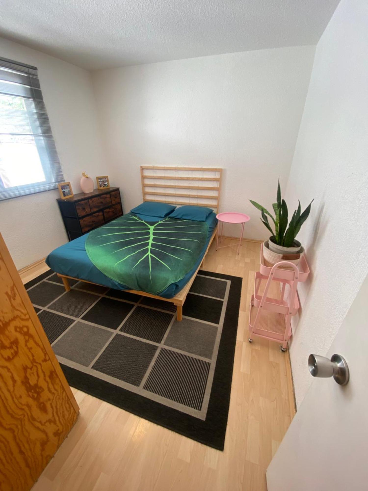 Homestay Privada En La Colonia Roma Mexico City