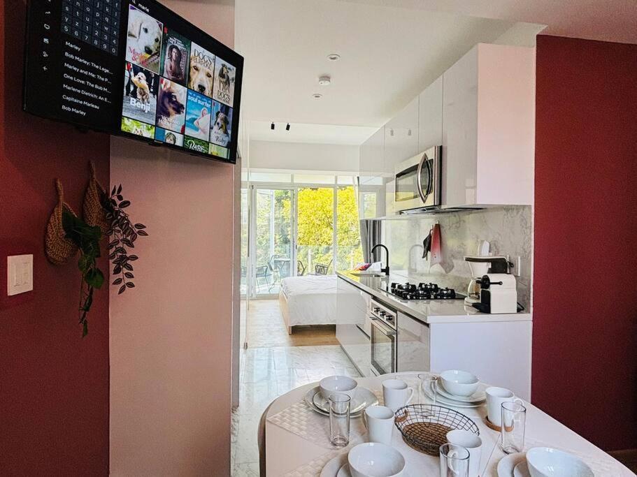 Luxury New Cozy 2 Bed In The Heart Of Roma Mexico City