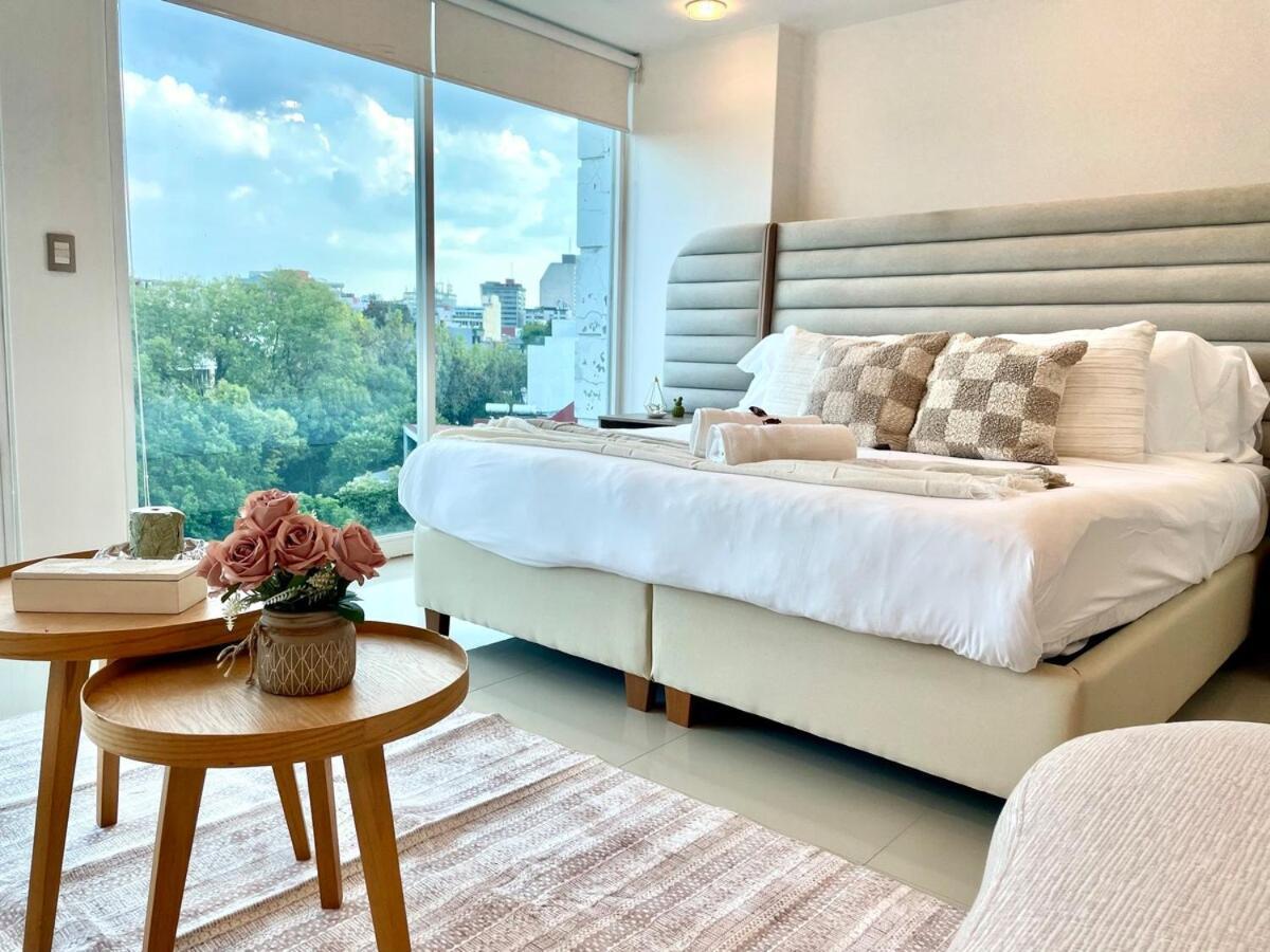 Beautiful And Comfortable In Condesa Mexico City
