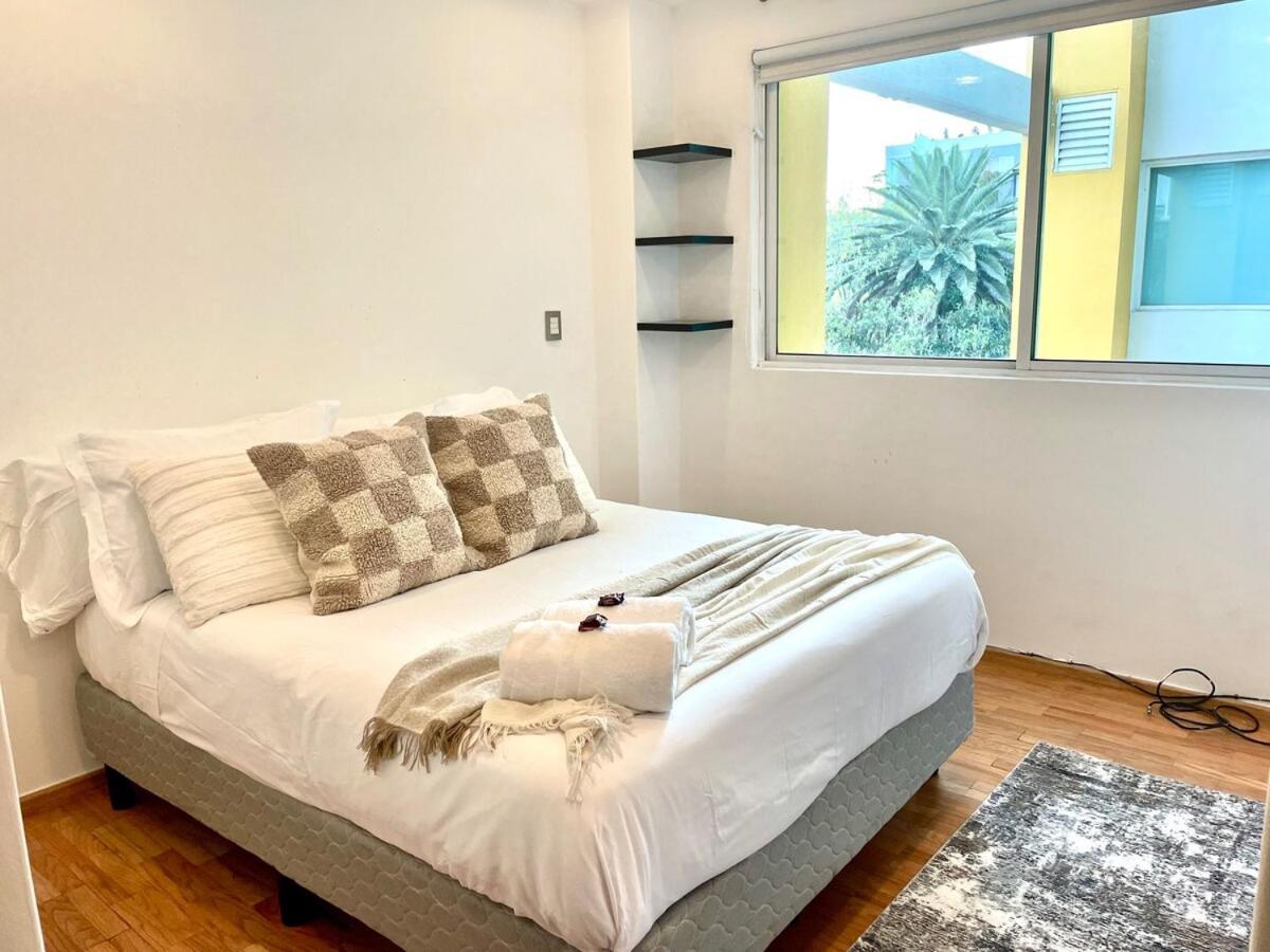 Beautiful And Comfortable In Condesa Apartment