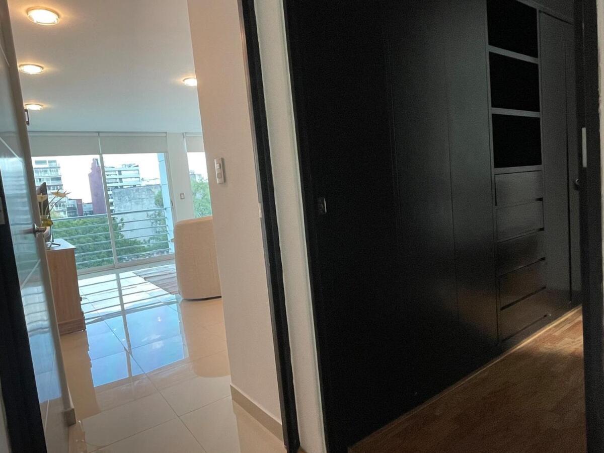 Beautiful And Comfortable In Condesa Apartment Mexico City