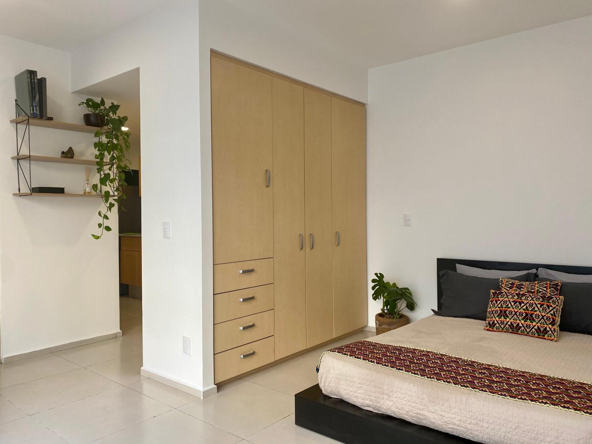 Apartment C206 - 1br - 1bth Mexico City