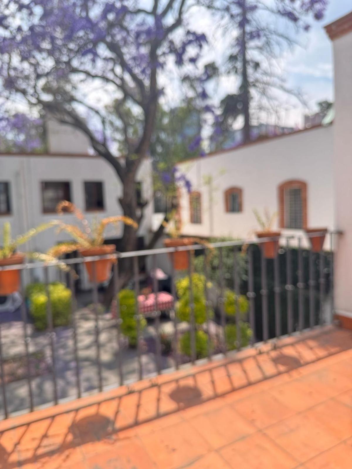 Holiday home Little House San Angel Coyoacan *
