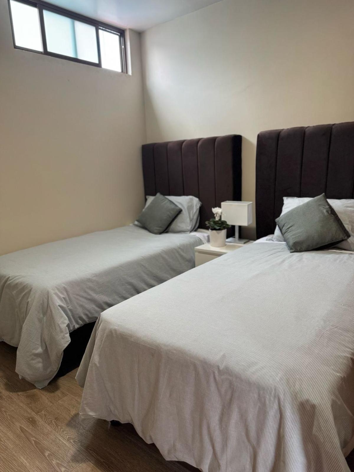 Little House San Angel Coyoacan Holiday home