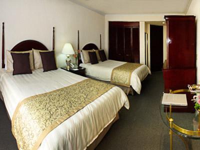 Pedregal Palace Hotel