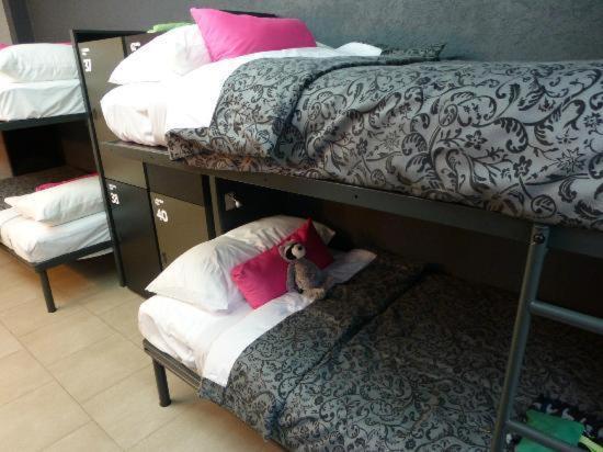 Hostel La Buena Vida *