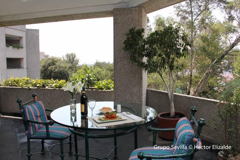 Royal Pedregal Hotel