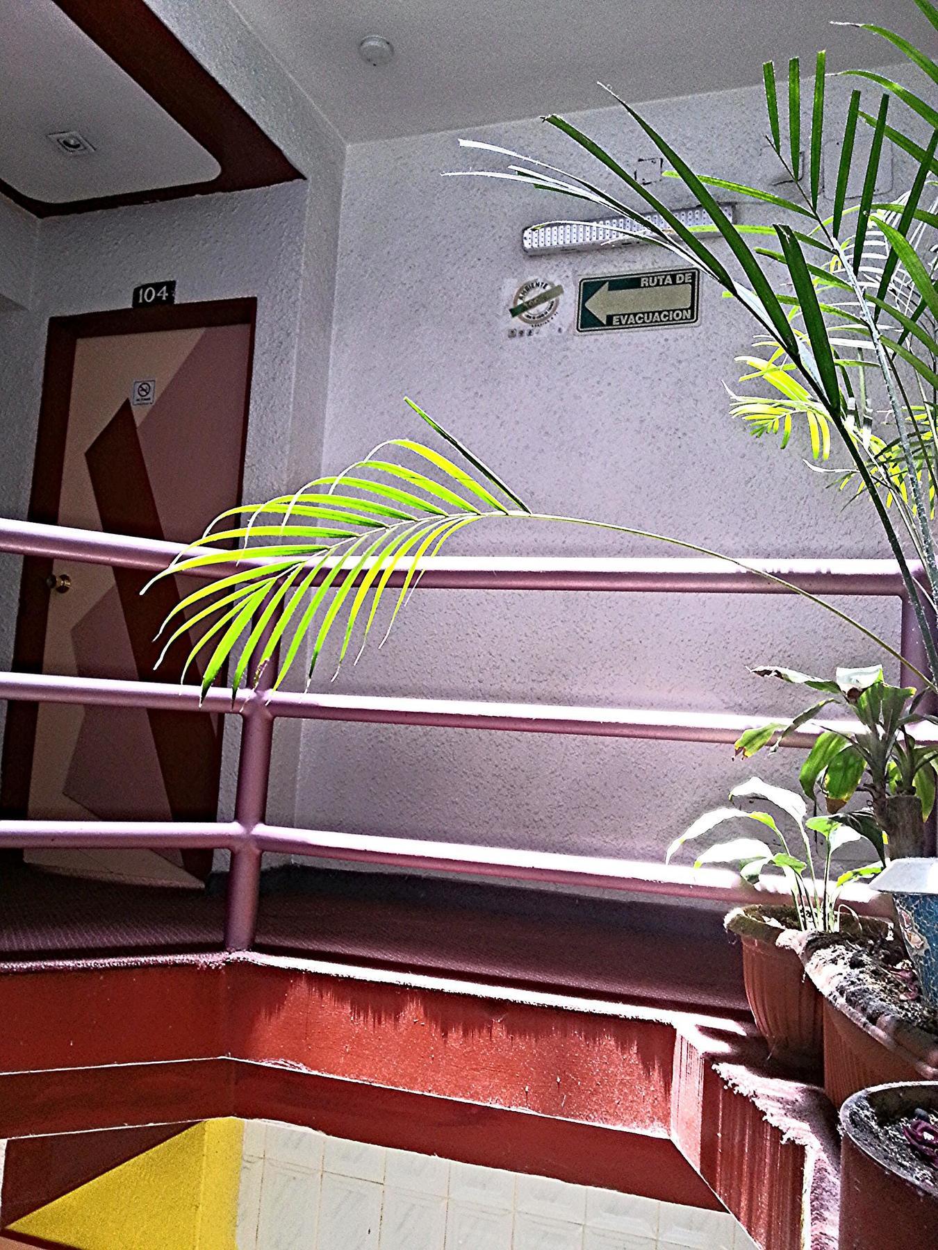 Ibiza Hotel