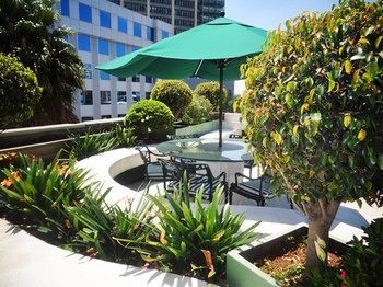 Hotel Beverly México DF