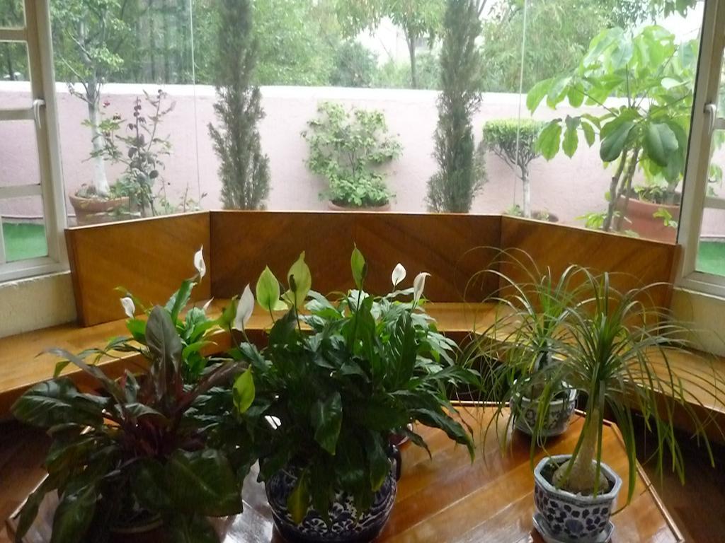 Casona Roma Norte Hotel