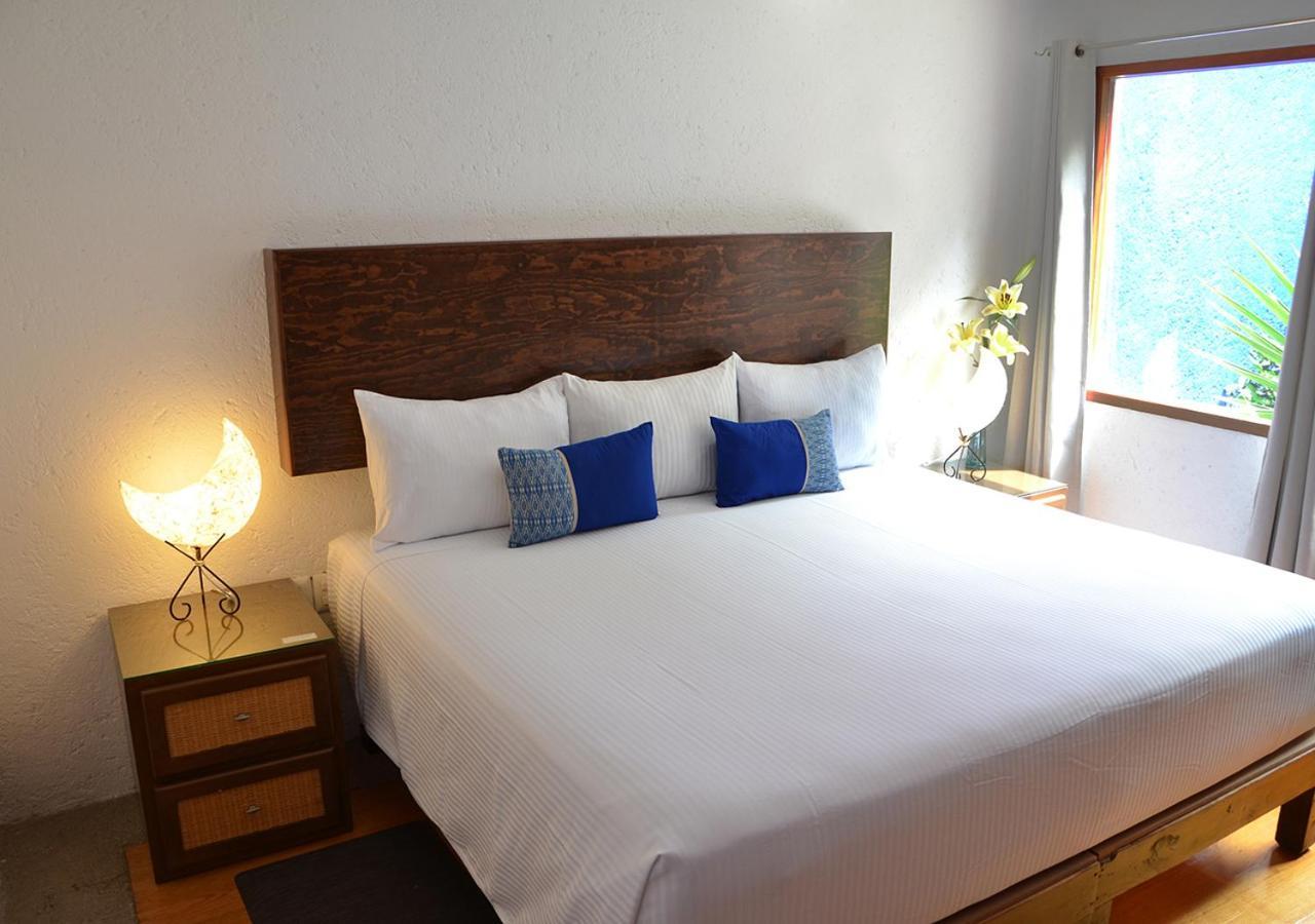 Casa Coyoacan 2*