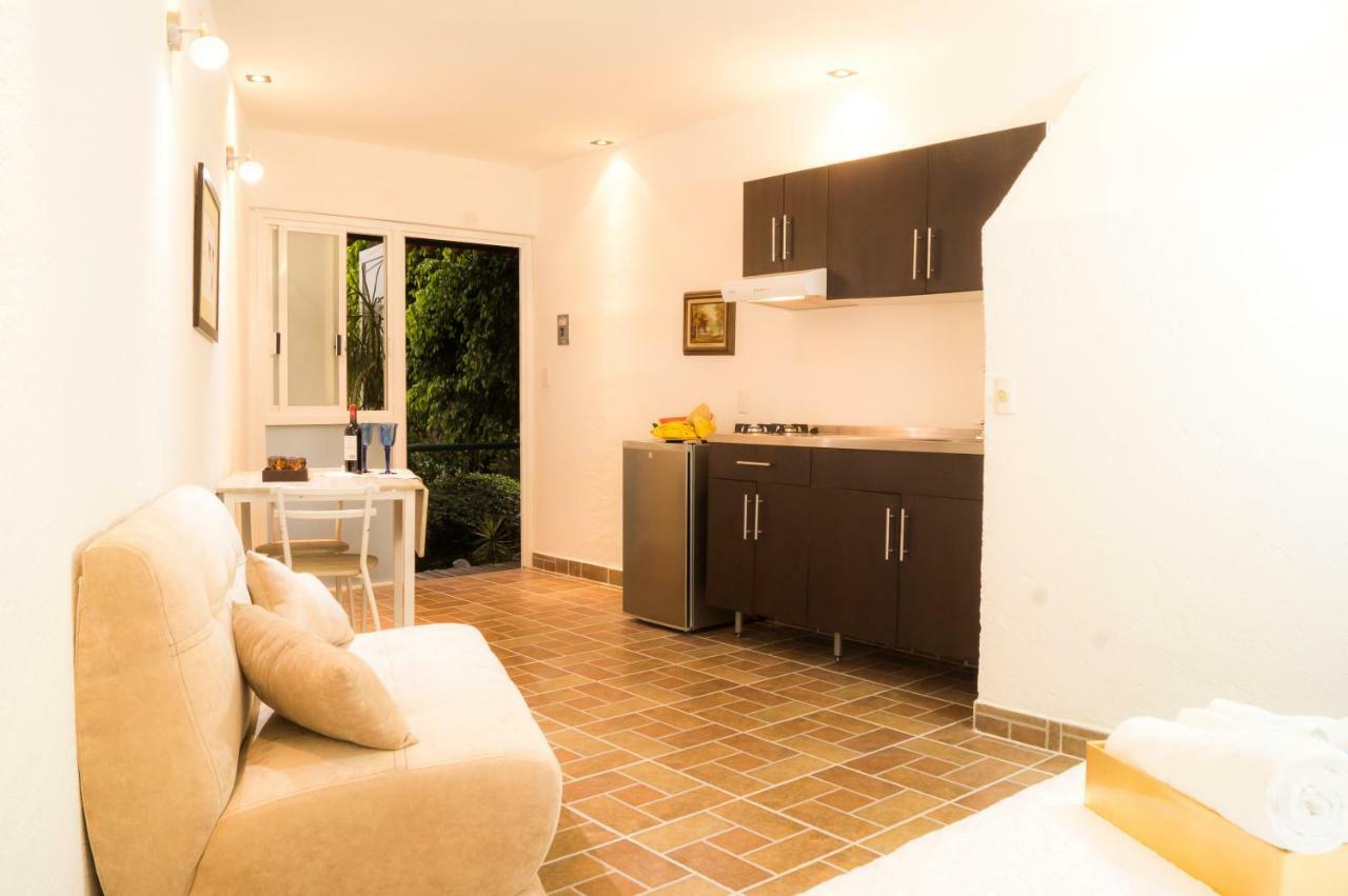 5b, Cultura, Garden House, Welcome To San Angel Mexico City