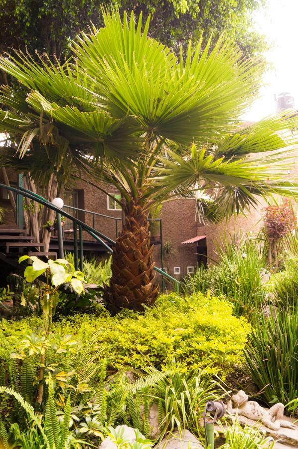 Apartment 5b, Cultura, Garden House, Welcome To San Angel *