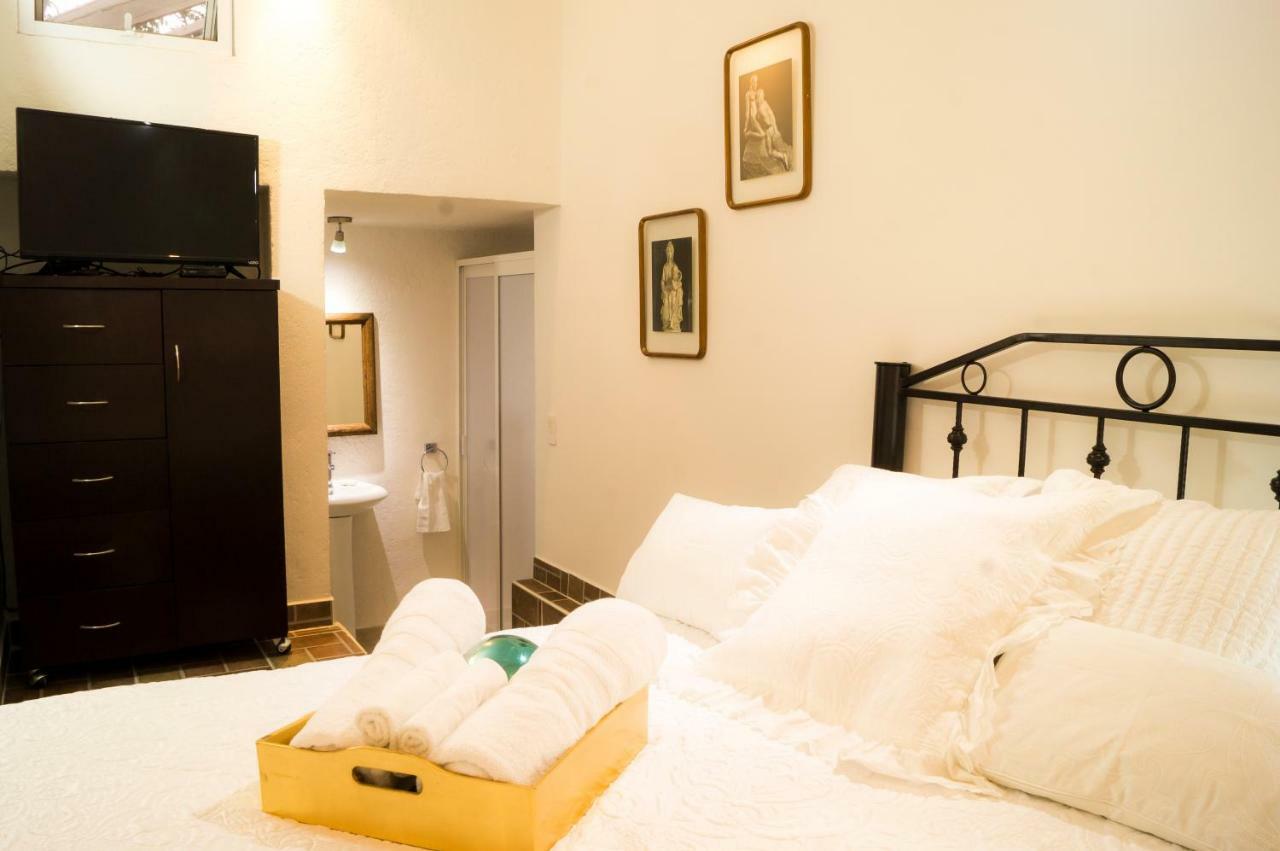 Apartment 5b, Cultura, Garden House, Welcome To San Angel Mexico City