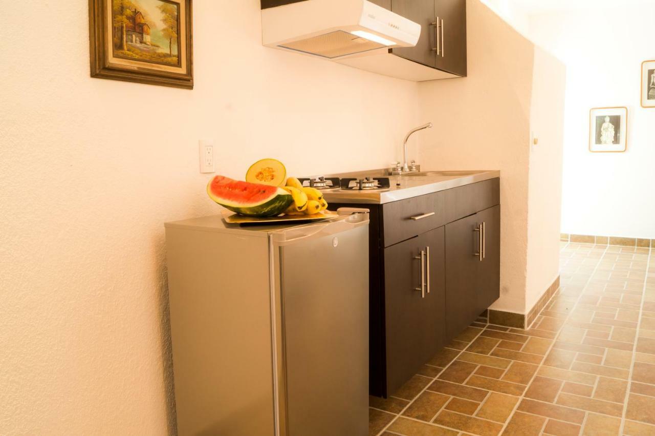 5b, Cultura, Garden House, Welcome To San Angel * Mexico City