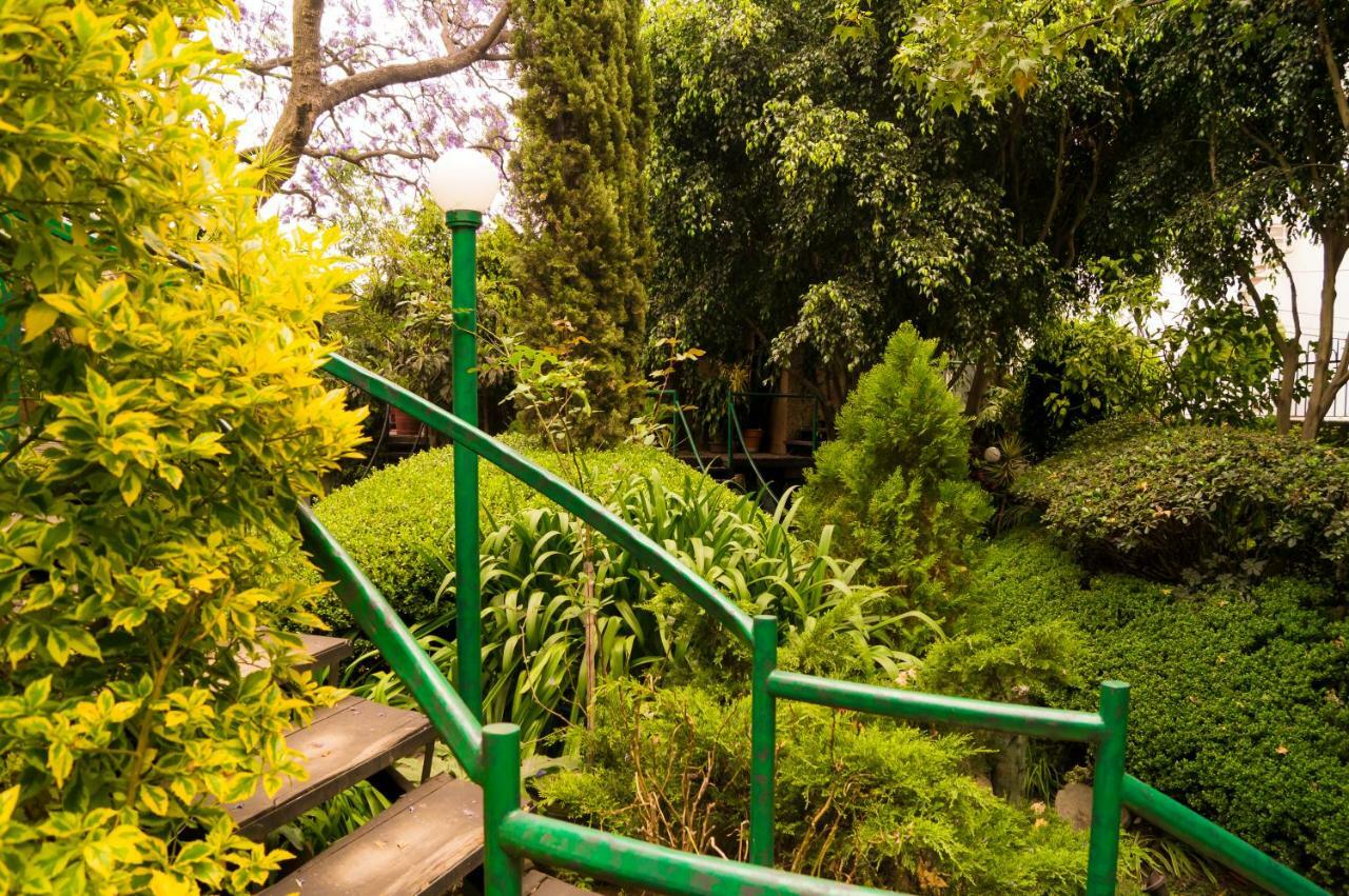 5b, Cultura, Garden House, Welcome To San Angel Mexico City