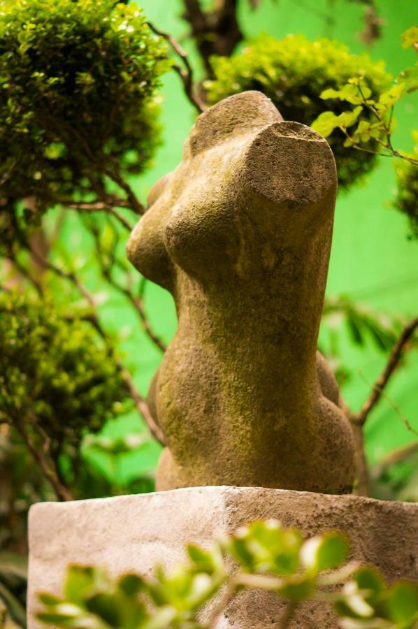 5b, Cultura, Garden House, Welcome To San Angel Mexico City