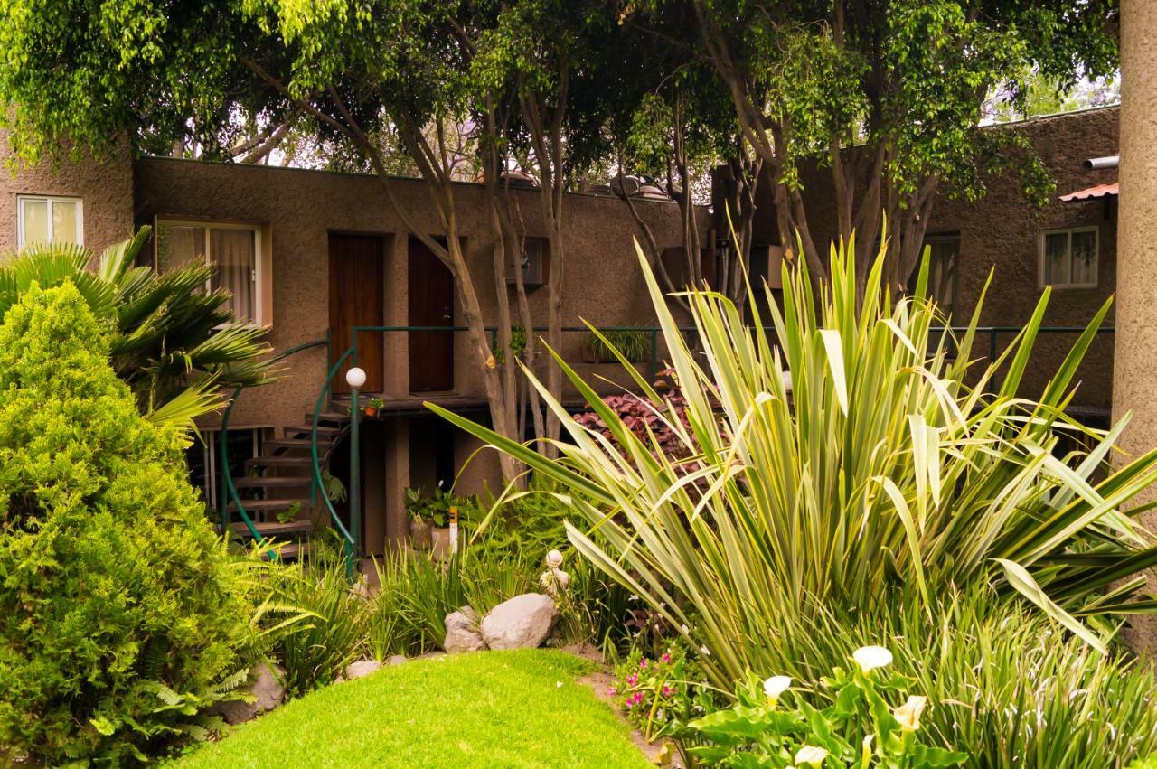 Apartment 5b, Cultura, Garden House, Welcome To San Angel *