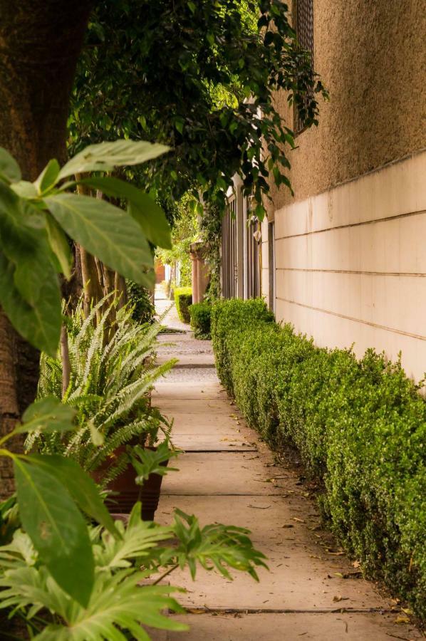 1-a Monasterio Garden House Welcome To San Angel Apartamento *