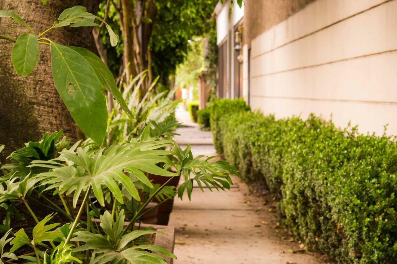 1-b El Rincón Garden House, Welcome To San Angel *