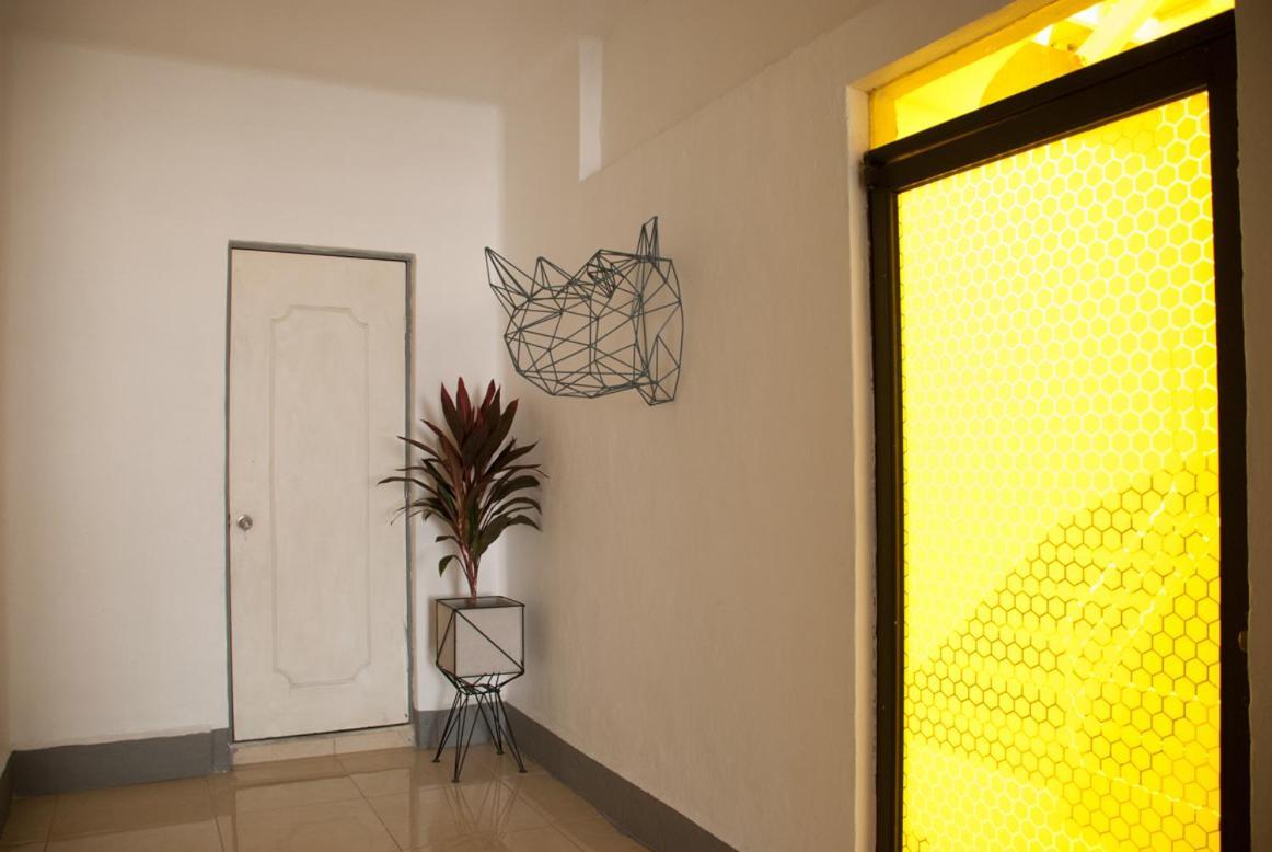 Bed & Breakfast Wanderlust District Mexico City
