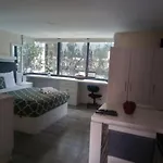 Lovely Loft At The Business Heart Of Mexico City