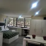 Lovely Loft At The Business Heart Of Mexico City
