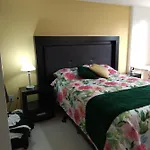 Charming Sunny Bedroom Overlooking Beautiful Amsterdam Avenue In Best Condesa Area