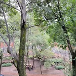 Mi Refugio San Angel