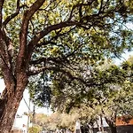 C.-Habitacion Con Bano Privado / Centro De Coyoacan